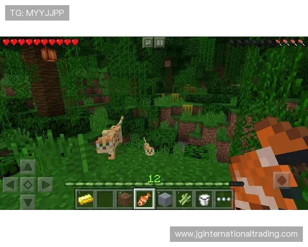 如何在bob真人平台上快速注册并享受丰富多样的真人游戏体验