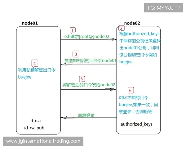 德赢ac官网入口全面解析，提供安全稳定的登录渠道保障用户账号安全